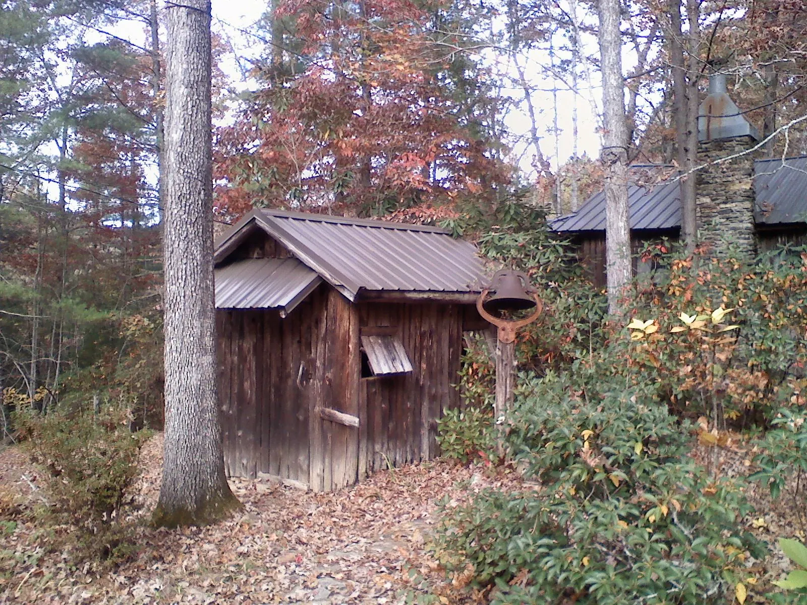 Small metal roof on a rough sawn shed in the woods in Madisonville