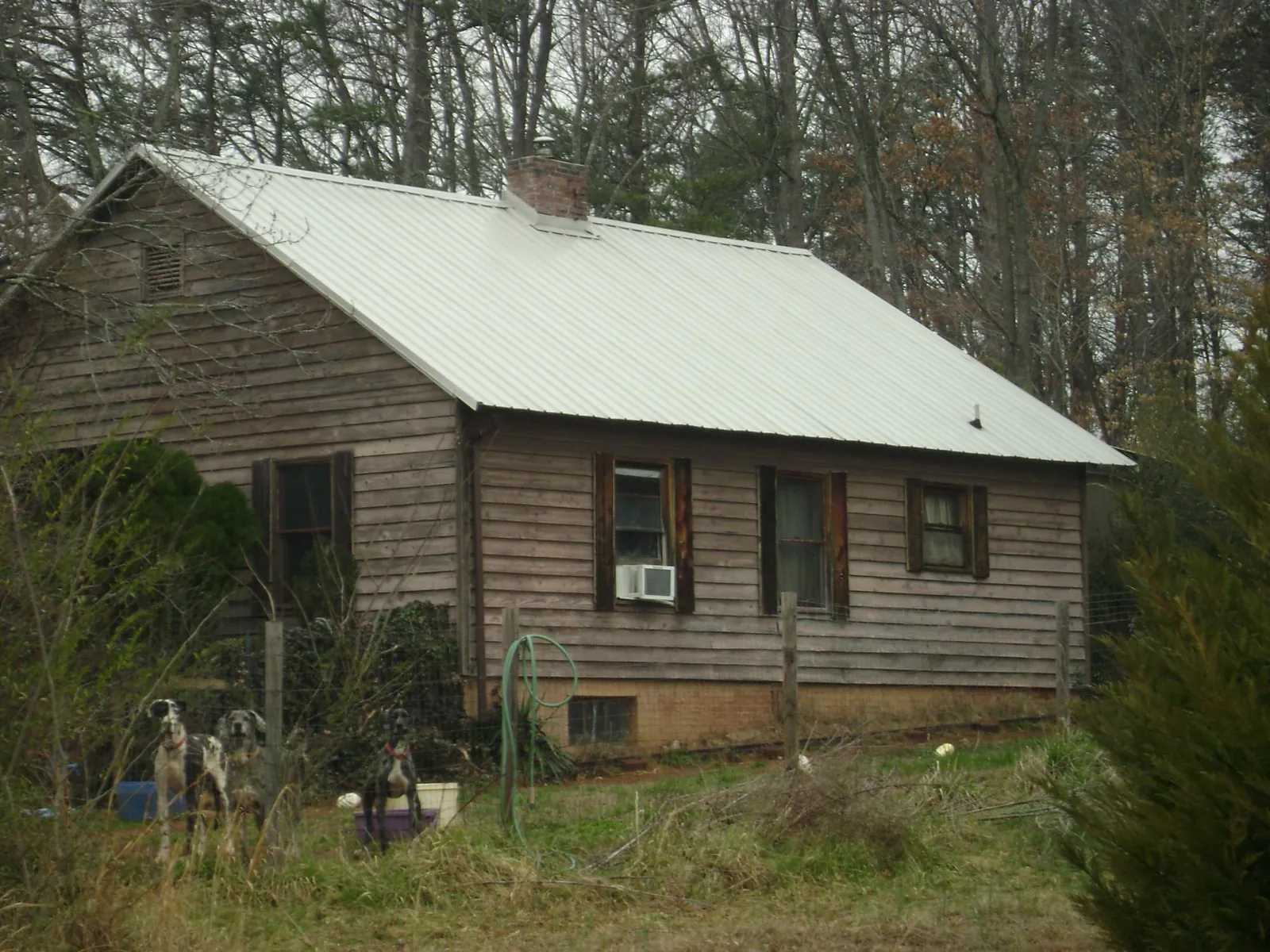 White metal roof on an old wood sided farmhouse, from a Asphalt Shingle Roof Repair job in Madisonville